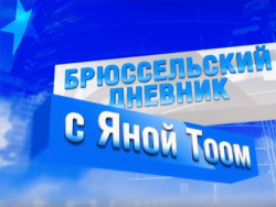 «Брюссельский дневник» Яны Тоом: Об обсуждении `Петиции о негражданах` в Европарламенте